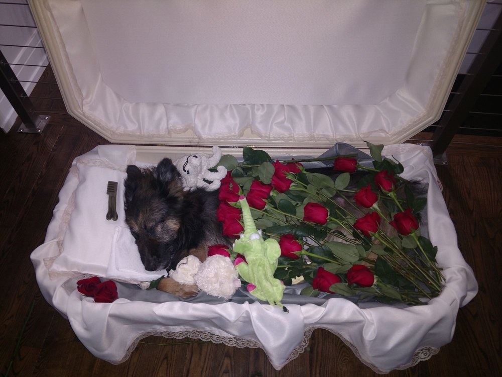 TRACY AREA ANIMAL RESCUE Updated June 2024 Tracy, Minnesota Animal Shelters Phone Number