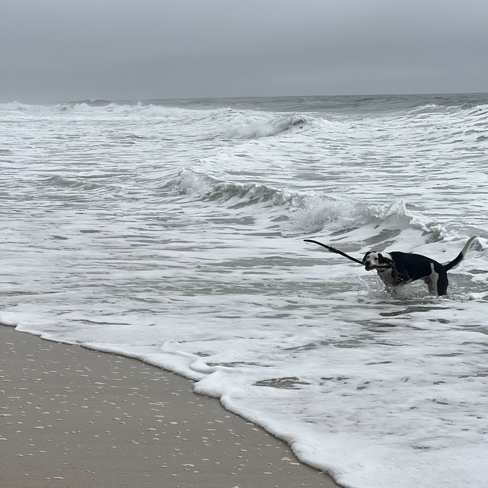 Redondo Beach - Surf's up! - Beaches Near Me Redondo Beach - Surf's up! - Beaches Near Me