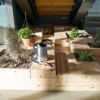 The Workshop Eatery - Indoor Herb Garden - Canadian (New) Near Me - Edmonton, Alberta