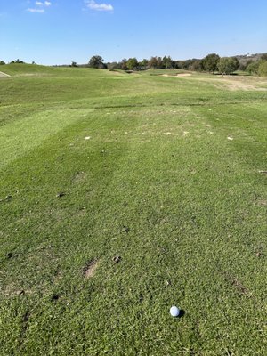 Lost Pines Golf Club by null