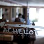 Photo of Cachelot