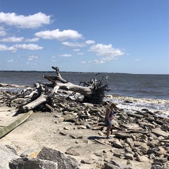 Driftwood Beach - Beaches Near Me - Jekyll Island, Georgia Driftwood Beach - Beaches Near Me - Jekyll Island, Georgia