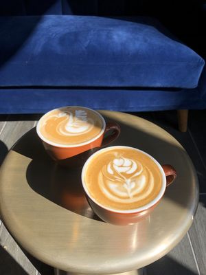 Bad Owl Coffee Roasters - Downtown by null