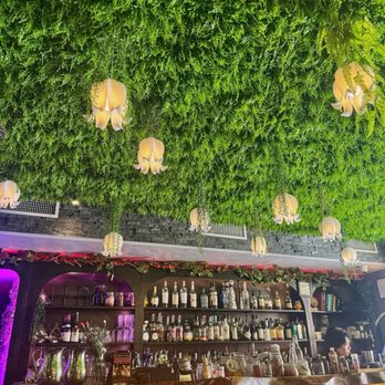 Wonderland - Asian Fusion Near Me - New York, New York