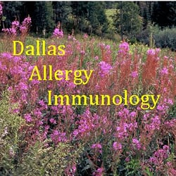 Allergy Partners of North Texas