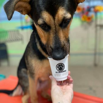 K9 Tailshakers - Pet Sitting Near Me - Frankfort, Illinois