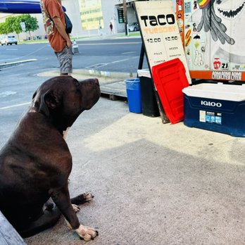 Thyda's Tacos - Big boss... - Tacos Near Me - Honolulu, Hawaii Thyda's Tacos - Big boss... - Tacos Near Me - Honolulu, Hawaii