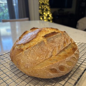Sourdough By Bella - Large Roasted Garlic and Rosemary - Desserts Near Me Sourdough By Bella - Large Roasted Garlic and Rosemary - Desserts Near Me