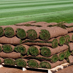 Southwest Sod - What your grass looks like as it travels the cities to find your destination.