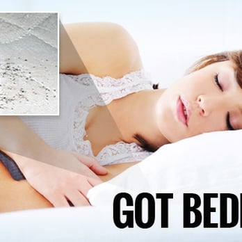 City Best Pest Control - bed bug pest control - Pest Control Near Me - Philadelphia, Pennsylvania City Best Pest Control - bed bug pest control - Pest Control Near Me - Philadelphia, Pennsylvania