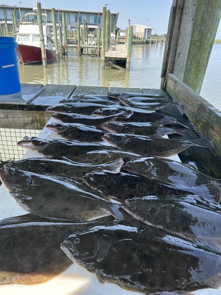 SEA SIDE GUIDES 14 Photos Melfa, Virginia Boat Tours Phone