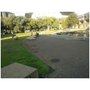Photo of Mahuhu ki te Rangi Park