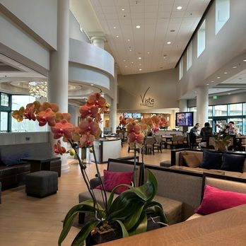 Costa Mesa Marriott - Hotels Near Me - Costa Mesa, California Costa Mesa Marriott - Hotels Near Me - Costa Mesa, California