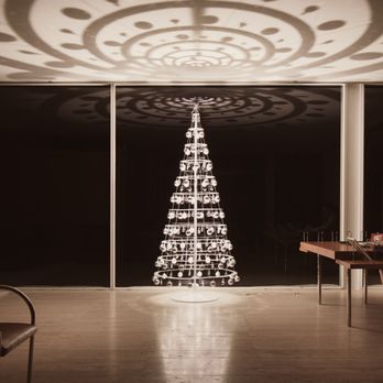 Modern Christmas Trees - Farnsworth House Modern Christmas Trees - Christmas Trees Near Me - Denver, Colorado