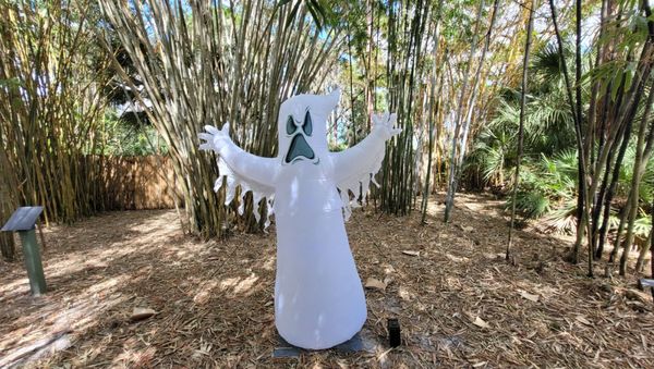 Port St. Lucie Botanical Gardens by null