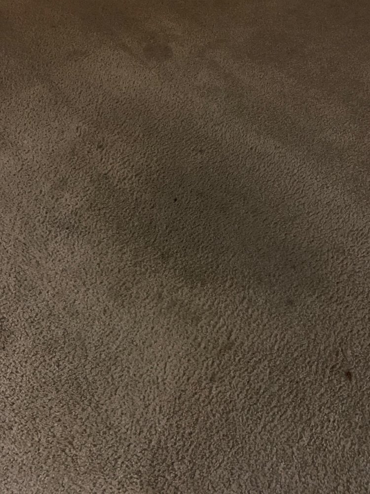 ALL GREEN CARPET CLEANING 32 Reviews Fairfax, Virginia Carpet