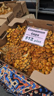 University District Farmers Market by null