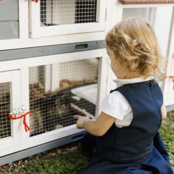 Le Petit Gan International Preschool - We love our animal friends- chickens and bunnys!