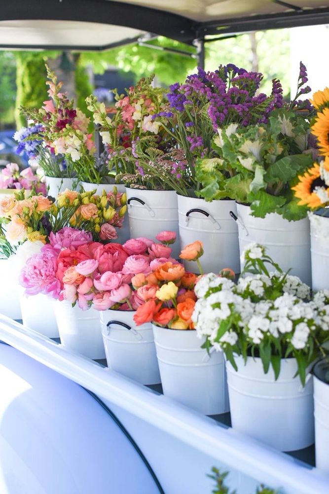 Clover Creek Gardens - beekeeping in Janesville, WI