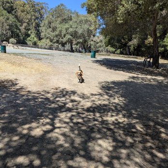 Castro Valley Dog Park - Dog Parks Near Me - Castro Valley, California Castro Valley Dog Park - Dog Parks Near Me - Castro Valley, California