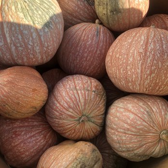 Spencer Farm - Pick Your Own Farms Near Me - Noblesville, Indiana Spencer Farm - Pick Your Own Farms Near Me - Noblesville, Indiana
