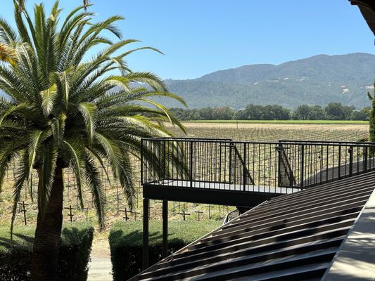 Round Pond Estate Winery by null