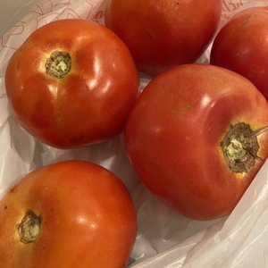 Photo of Sherry's Produce - Tucker, GA, United States. Fresh meaty dense tomato's