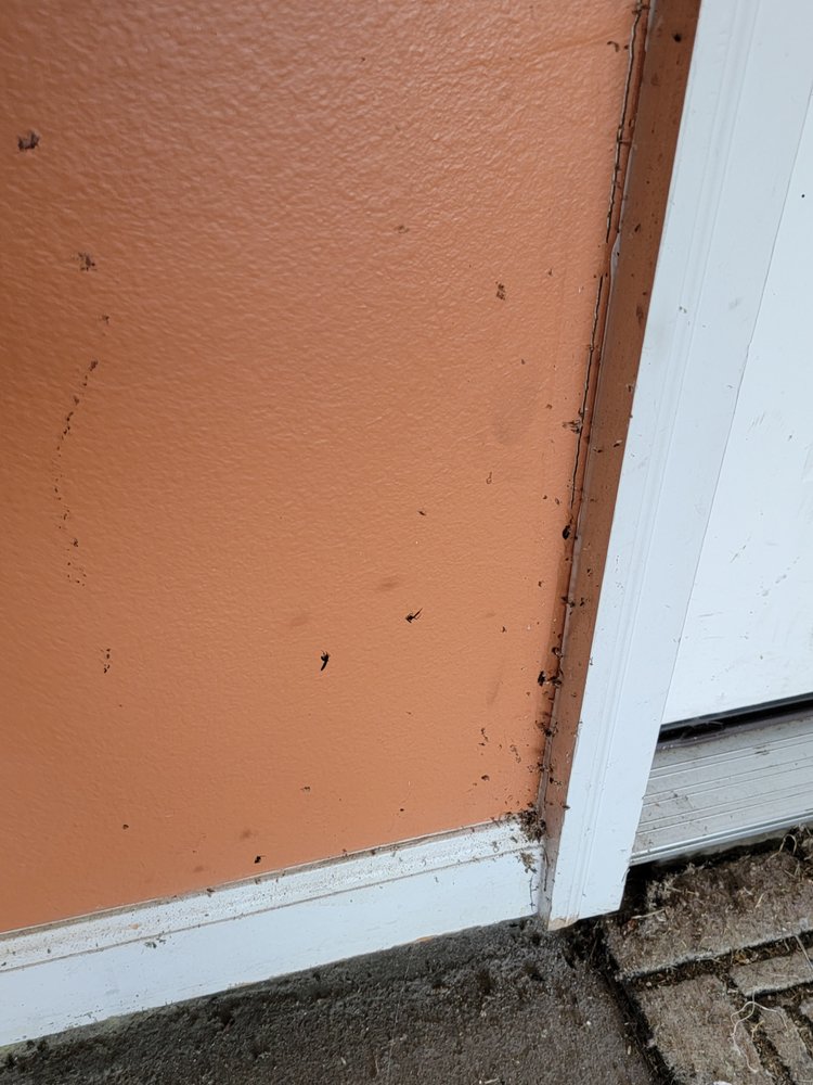 MASSEY SERVICES Updated September 2024 16312 Perkins Rd, Baton