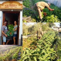 La Talega - DIRECT FROM THE LAND ;)