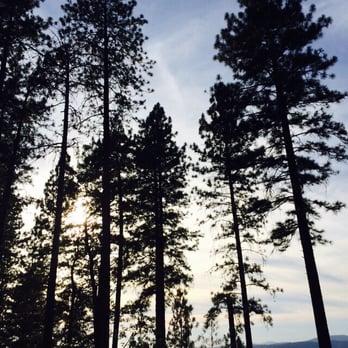 Sierra Sun Cloud Inn - Bed & Breakfast Near Me - Colfax, California