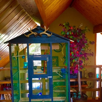 Randi's Rascals - Tweet tweet...I can't find you...this bird house is so big! - Pet Sitting Near Me