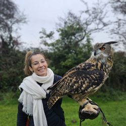 Falconry Kerry - They even had 3 owls for use to fly.