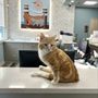 Photo of Lafayette Animal Hospital