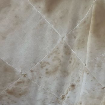 Atlanta Evergreen Lakeside Resort - MOLD everywhere. Bedding smelled so bad! - Hotels Near Me - Stone Mountain, Georgia Atlanta Evergreen Lakeside Resort - MOLD everywhere. Bedding smelled so bad! - Hotels Near Me - Stone Mountain, Georgia