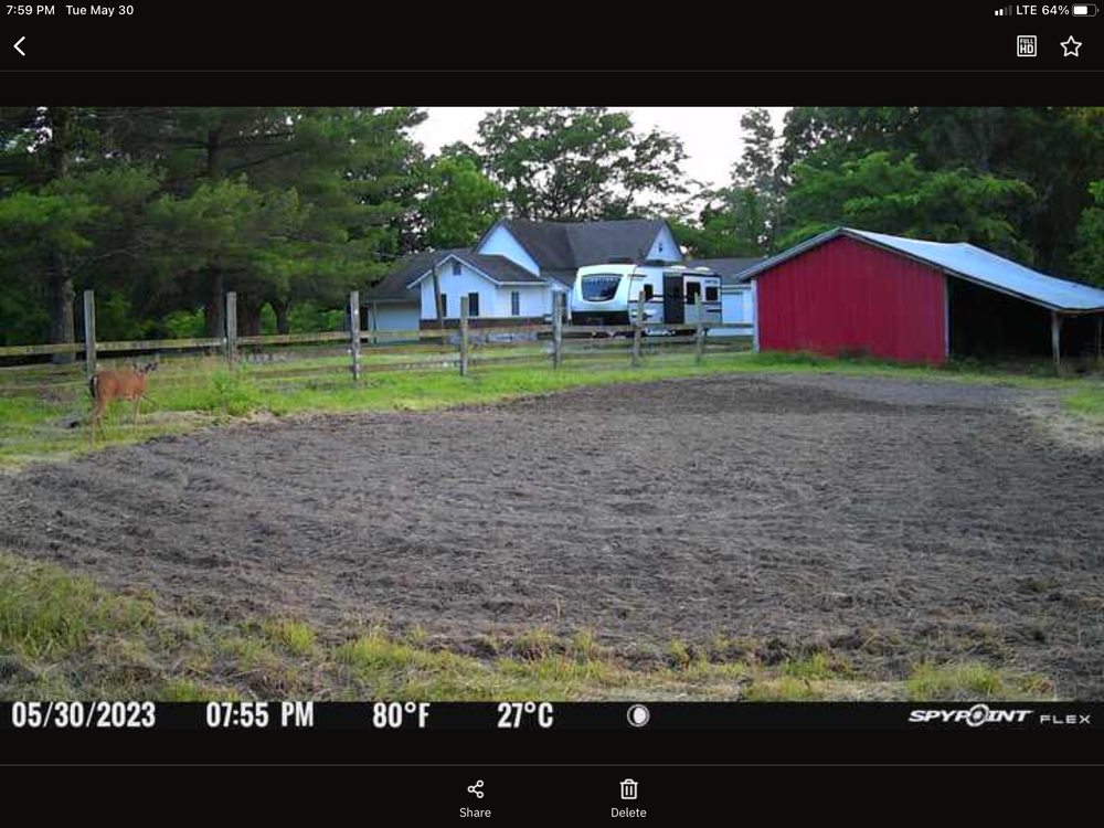 ASAP PROPERTIES Hartselle, Alabama Garage Door Services Phone Number Yelp