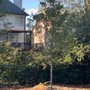 Photo of Mullinax B L Landscaping & Shrubbery