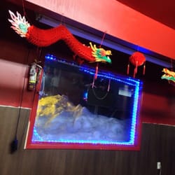 Dragon City