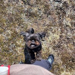 Rabbit Lake Trail - Mylie wants a lift in the sling.