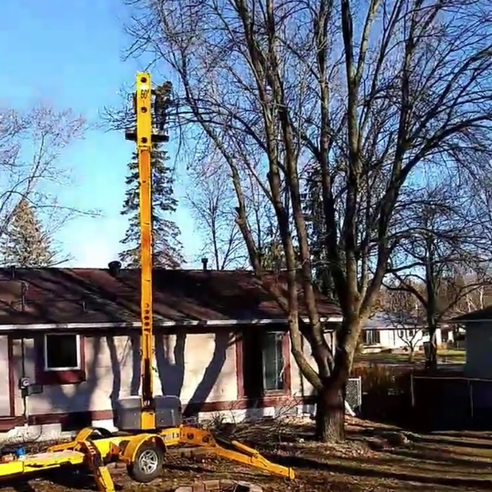 Mike's Dirtwork - Mike's Dirtworks taking out a large tree. - Tree Services Near Me - St. Cloud, Minnesota Mike's Dirtwork - Mike's Dirtworks taking out a large tree. - Tree Services Near Me - St. Cloud, Minnesota
