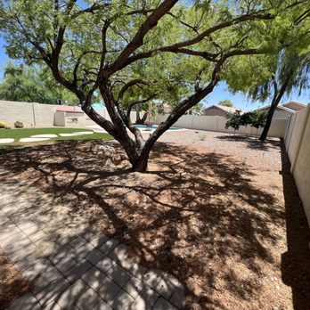 H -Hernández Landscaping - a tree in a backyard - Landscaping Near Me H -Hernández Landscaping - a tree in a backyard - Landscaping Near Me