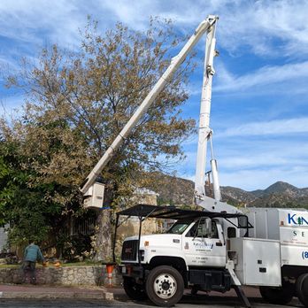 Kings Tree Service - Kings Tree Service used a bucket truck to cut branches off. - Tree Services Near Me - Sylmar, California Kings Tree Service - Kings Tree Service used a bucket truck to cut branches off. - Tree Services Near Me - Sylmar, California