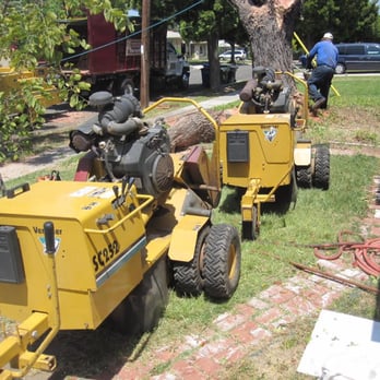 Gutierrez Landscape & Tree Service - a tree being cut - Landscaping Near Me - Vista, California Gutierrez Landscape & Tree Service - a tree being cut - Landscaping Near Me - Vista, California