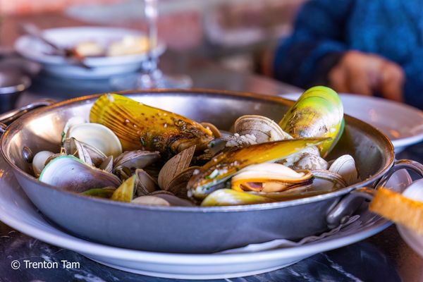 Original Fish Co. by null