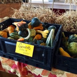 Randy's Vegetables - Gourds