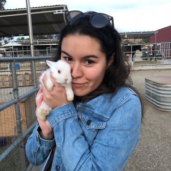Susie Q Ranch - Anyone want a cute bunny? - Horseback Riding Near Me - Murrieta, California Susie Q Ranch - Anyone want a cute bunny? - Horseback Riding Near Me - Murrieta, California