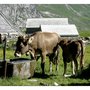 Photo of Gasthaus Meglisalp