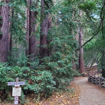 Valley View Trail - Hiking Near Me - Sur Rd, California