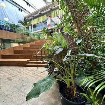 POST Houston - Lots of gorgeous plants - Music Venues Near Me - Houston, Texas