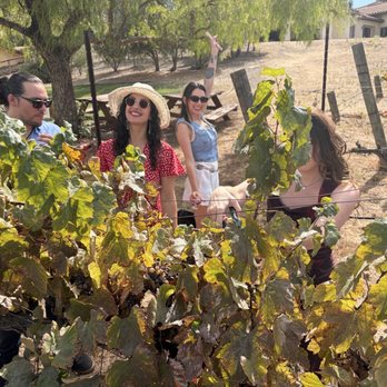 Tenuta Vineyards - Wineries Near Me - Livermore, California Tenuta Vineyards - Wineries Near Me - Livermore, California