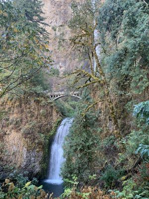 Around Portland Tours by null